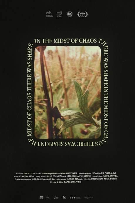 In the Midst of Chaos There Was Shape